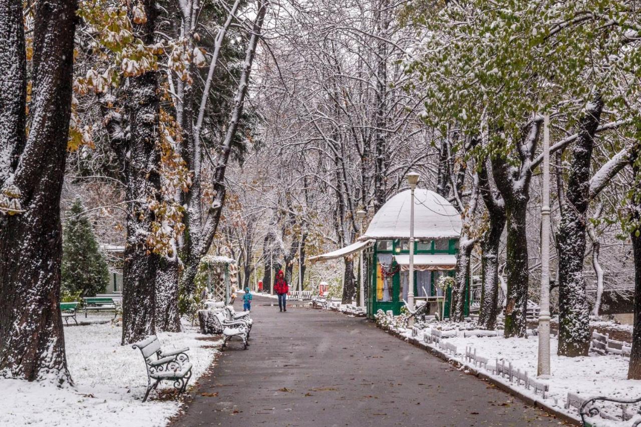 Cristi'S Rooms - Pensiune Oradea Buitenkant foto